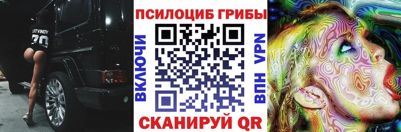 Галлюциногенные грибы Psilocybe Купить Рудня